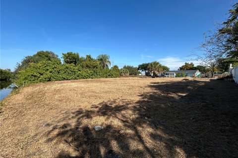 Land in Punta Gorda, Florida № 2106028 - photo 9