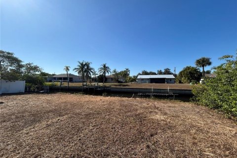 Land in Punta Gorda, Florida № 2106028 - photo 8