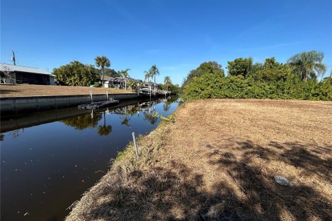 Land in Punta Gorda, Florida № 2106028 - photo 5