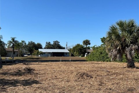 Land in Punta Gorda, Florida № 2106028 - photo 12