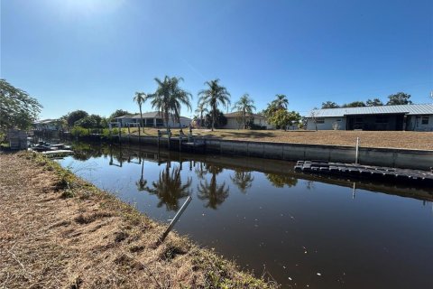 Land in Punta Gorda, Florida № 2106028 - photo 6