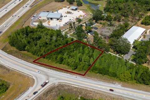Land in Lakeland, Florida № 1918494 - photo 10
