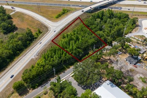 Land in Lakeland, Florida № 1918494 - photo 8