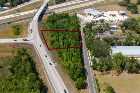 Land in Lakeland, Florida № 1918494 - photo 9