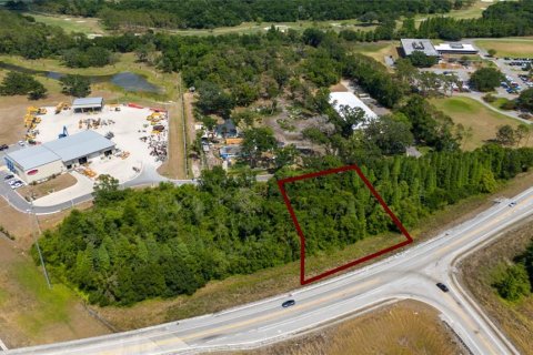 Land in Lakeland, Florida № 1918494 - photo 11