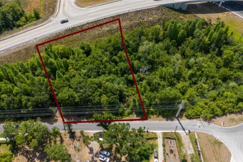 Land in Lakeland, Florida № 1918494 - photo 6