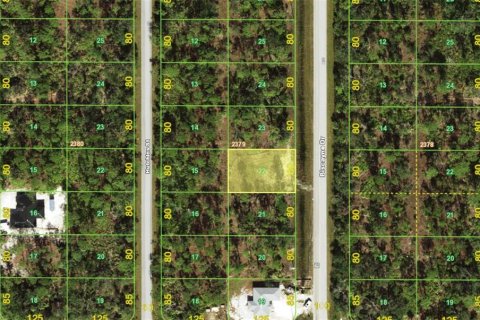 Land in Port Charlotte, Florida № 2162150 - photo 2