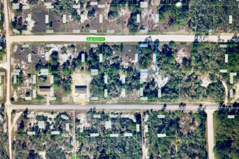 Land in Lake Placid, Florida № 2162966