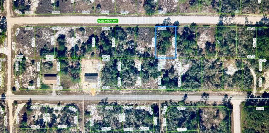 Land in Lake Placid, Florida № 2162966