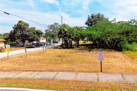 Land in Haines City, Florida № 2162673