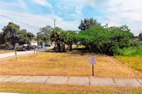 Land in Haines City, Florida № 2162673 - photo 5