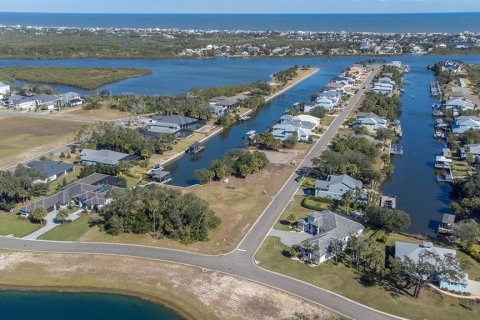 Land in Flagler Beach, Florida № 1883695 - photo 2