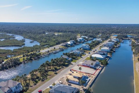 Land in Flagler Beach, Florida № 1883695 - photo 14