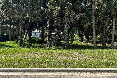 Land in Flagler Beach, Florida № 1883695 - photo 25