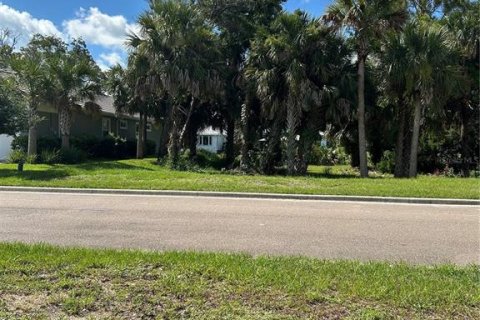 Land in Flagler Beach, Florida № 1883695 - photo 24