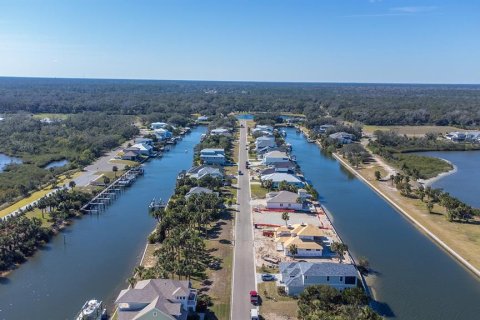 Land in Flagler Beach, Florida № 1883695 - photo 12