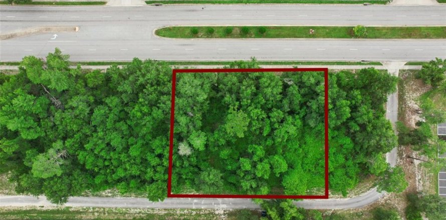 Terrain à Deltona, Floride № 2284955