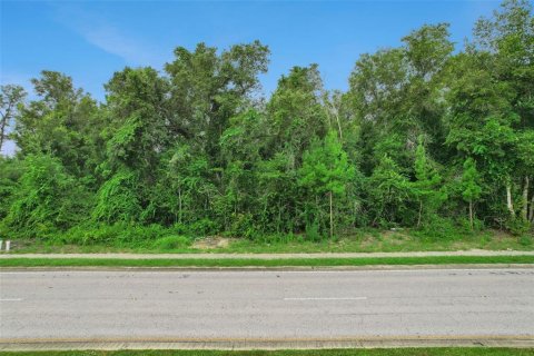 Terrain à vendre à Deltona, Floride № 2284955 - photo 4