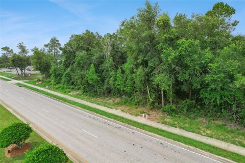 Terrain à vendre à Deltona, Floride № 2284955 - photo 6
