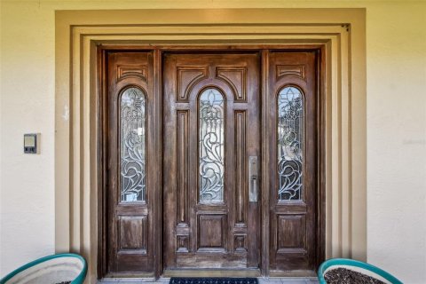 Villa ou maison à vendre à Clearwater, Floride: 5 chambres, 384.43 m2 № 1796831 - photo 29