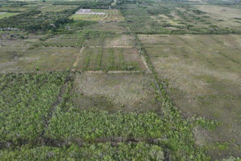 Land in Homestead, Florida № 2125460 - photo 10