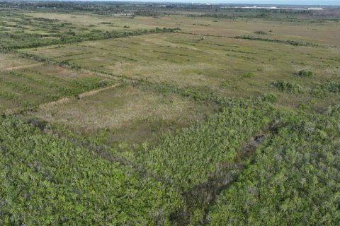 Land in Homestead, Florida № 2125460 - photo 2