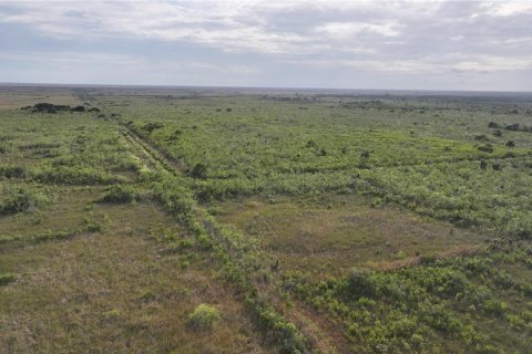 Land in Homestead, Florida № 2125460 - photo 21