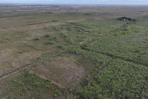 Land in Homestead, Florida № 2125460 - photo 24