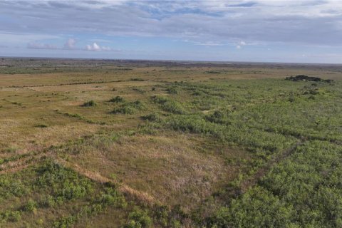 Land in Homestead, Florida № 2125460 - photo 7