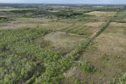 Land in Homestead, Florida № 2125460 - photo 25