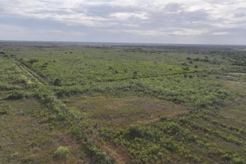 Land in Homestead, Florida № 2125460 - photo 30