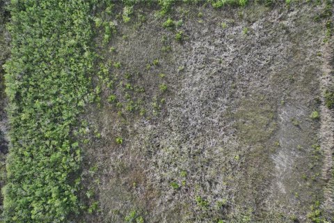 Land in Homestead, Florida № 2125460 - photo 6