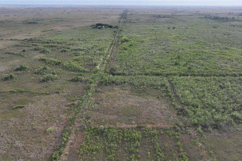 Land in Homestead, Florida № 2125460 - photo 11