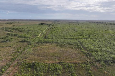 Land in Homestead, Florida № 2125460 - photo 20