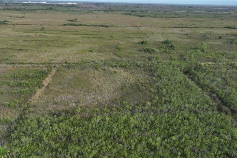 Land in Homestead, Florida № 2125460 - photo 26