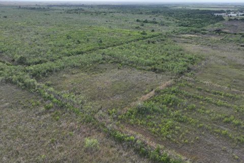 Land in Homestead, Florida № 2125460 - photo 4