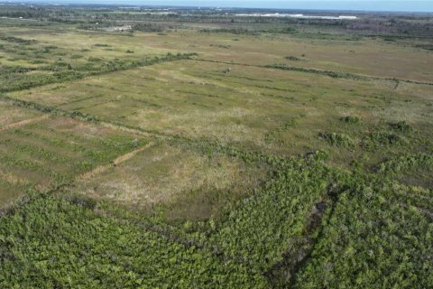 Land in Homestead, Florida № 2125460 - photo 29