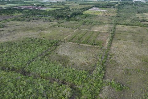 Land in Homestead, Florida № 2125460 - photo 9