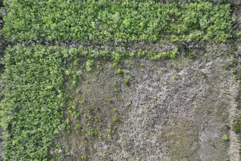 Land in Homestead, Florida № 2125460 - photo 27