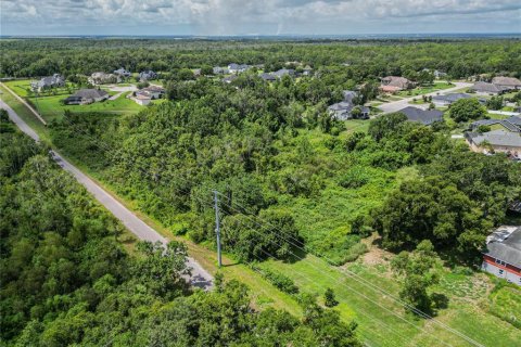 Land in Lakeland, Florida № 1877088 - photo 6