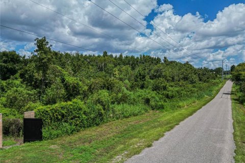 Land in Lakeland, Florida № 1877088 - photo 12