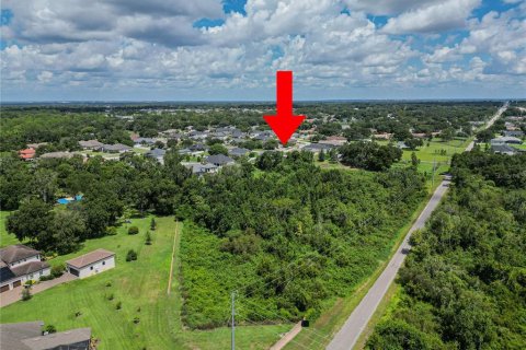 Land in Lakeland, Florida № 1877088 - photo 3