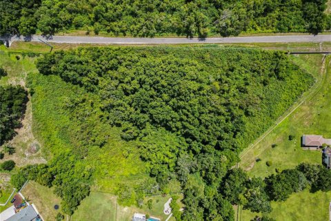 Land in Lakeland, Florida № 1877088 - photo 9
