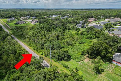 Land in Lakeland, Florida № 1877088 - photo 2