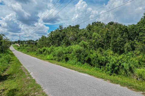 Land in Lakeland, Florida № 1877088 - photo 11