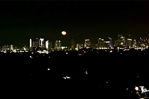 Condominio en venta en Coral Gables, Florida, 1 dormitorio, 72.56 m2 № 1958918 - foto 10