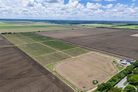 Commercial property in Miami, Florida № 1978921 - photo 6