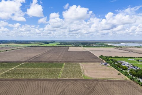 Commercial property in Miami, Florida № 1978921 - photo 7