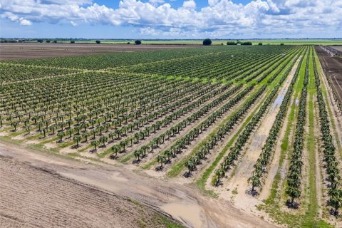 Commercial property in Miami, Florida № 1978921 - photo 17