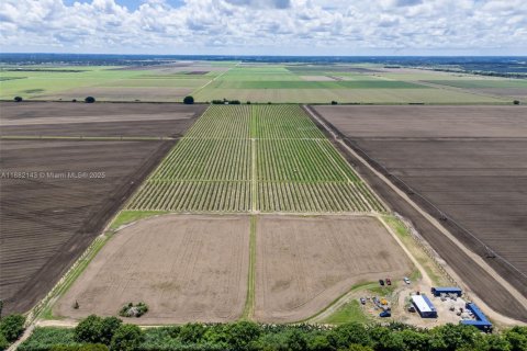 Commercial property in Miami, Florida № 1978921 - photo 4